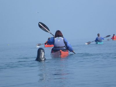 best sea-kayaking activity for kids north wales