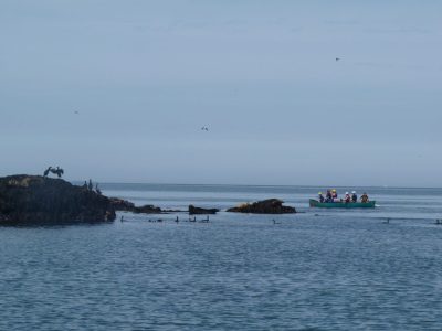 best sea-kayaking activity for kids snowdonia uk